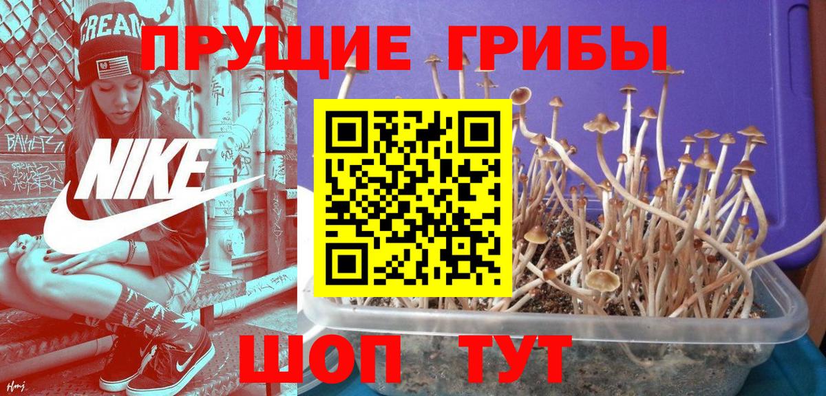 Псилоцибиновые грибы ЛСД  Вход с VPN  Звенигород 