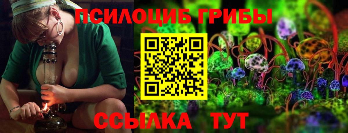 Псилоцибиновые грибы GOLDEN TEACHER Звенигород